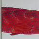 Coral Grouper