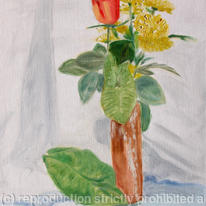 Still life with rose and carnations