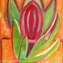 Protea