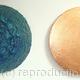 Metal Heart II (Diptych)