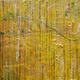 Water Snakes, After Klimt