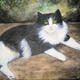 Tootsie