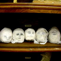 Cabinet of Curiosities - Heads on Shelf