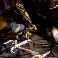 Tales from the Tower 'The Twa Corbies'