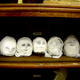 Cabinet of Curiosities…