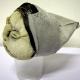 Small Head 003a (side…