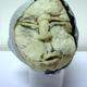 Small Head 003f