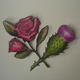 english rose and scottish…