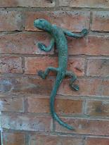 Lizard