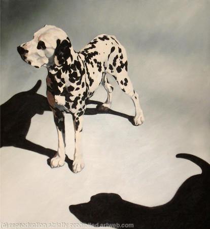 2 Dalmations