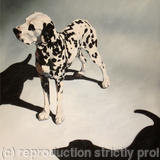 2 Dalmations - Oil on Canvas