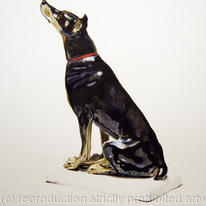 hidden Doberman