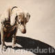 In The Sunshine 1