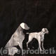 White Dogs 1