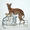 Zwei Windhunde