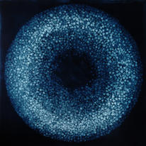 torus