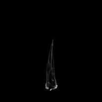 The Curse of Consciousness