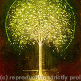 green-blossom - giclee print