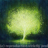 Light up - boxed & framed giclee print