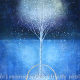 Snow Tree - boxed & framed giclee print