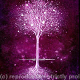 Celestial - framed giclee card