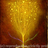 Entwined - framed giclee card