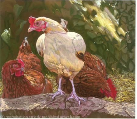 Chantelle, her sister and her mum by Paul Winder (print)