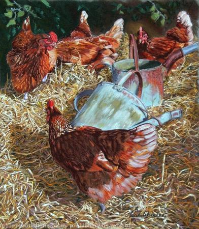 Rustic Hens by Paul Winder (print)