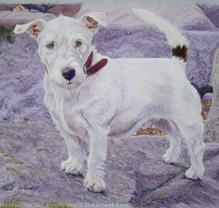 Stanny by Paul Winder