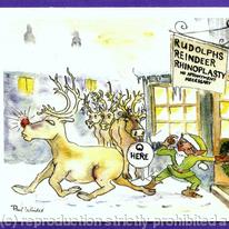 Rudolphs Reindeer Rhinoplasty by Paul Winder