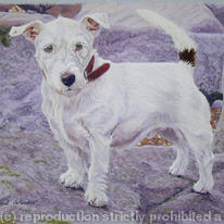 Stanny by Paul Winder