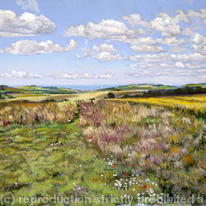 Brighton from the South Downs