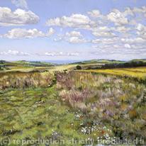 Brighton from the South Downs (print) by Paul Winder