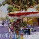 Flower Stall, Cannes…