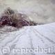 More Snow Expected by…