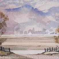 Minchinhampton Common