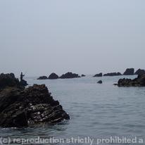 Quiet and Still Guernsey