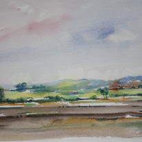 Clent Hills 1