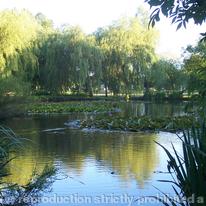 Pelsall Pond Pelsall Common
