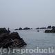 Quiet and Still Guernsey