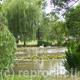 Heath End Pond Pelsall…