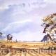 Little Witley Church…