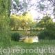 Heath End Pond Pelsall