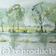 Pelsall Pond