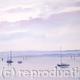 River Torridge Instow