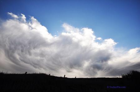 Storm brewing
