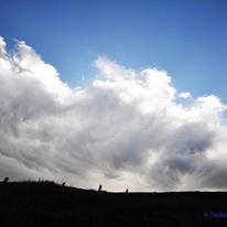 Storm brewing