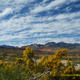 RedRock ridge