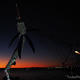 Swordfish art