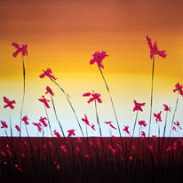 hidden Poppies